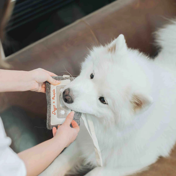 LAMBWOLF CASSETTE // snuffle + squeaky