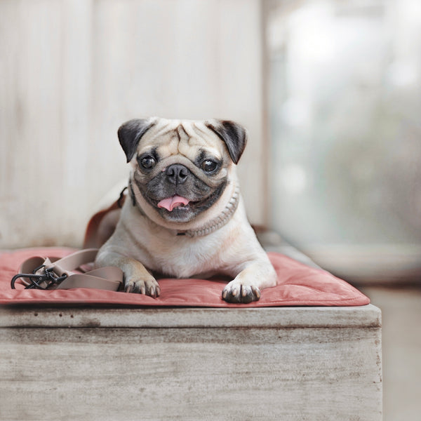 LAMBWOLF ORII // ultralight city travel mat