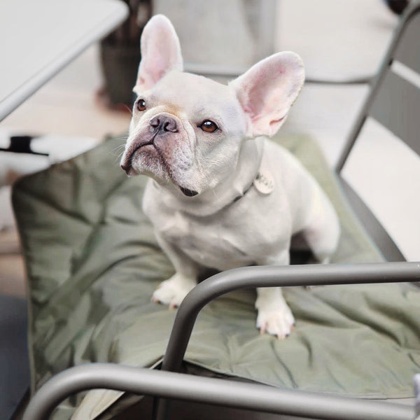 LAMBWOLF ORII // ultralight city travel mat