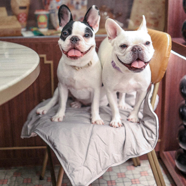 LAMBWOLF ORII // ultralight city travel mat