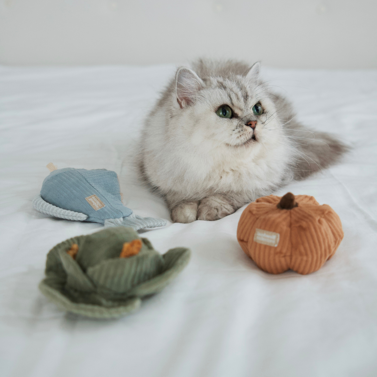 KITTY VEGGIE SET //  JINGLY + CRINKLY