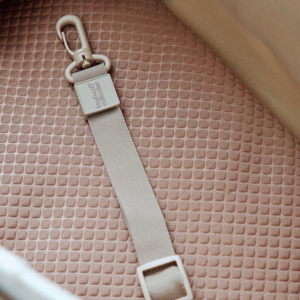 SUBWAY // Canvas Pet Carrier