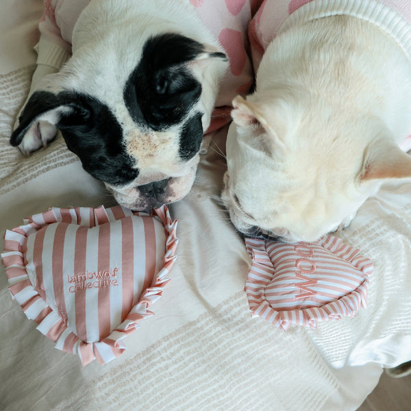 SWEETHEART // CUDDLY + SQUEAKY