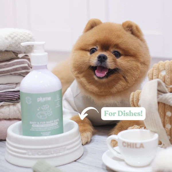 Beige + Bright x Plume Dog／Baby Bundle