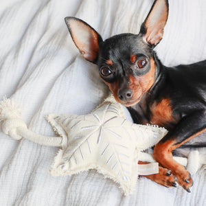 HOLIDAY STAR // squeaky + tug