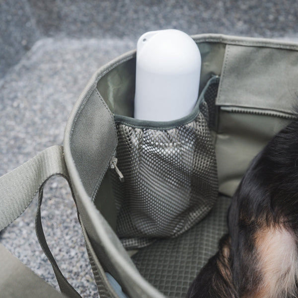 SUBWAY // Canvas Pet Carrier