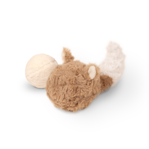 FOX POP // Squeaky + Bouncy