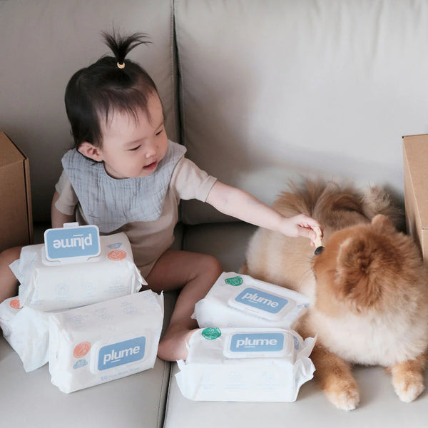 Beige + Bright x Plume Dog／Baby Bundle