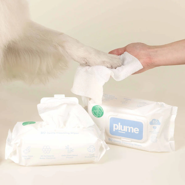 Beige + Bright x Plume Dog／Baby Bundle