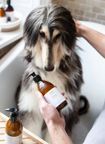 Wild For Dog Shampoo 300ml