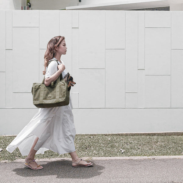SUBWAY // Canvas Pet Carrier