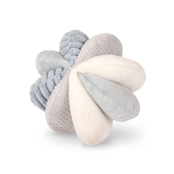 Beige + Bright x Plume Dog／Baby Bundle