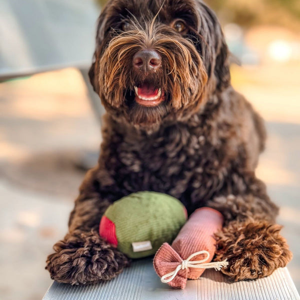 Lambwolf OLIVE + SALAMI // squeaky