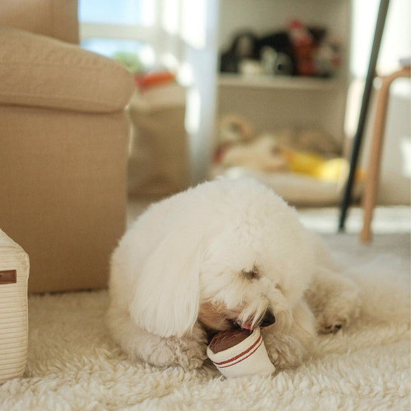 EXPRESSO POP // squeaky + snuffle