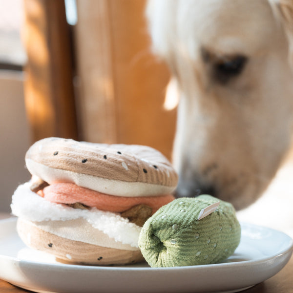 BAGEL + PICKLE // Snuffle