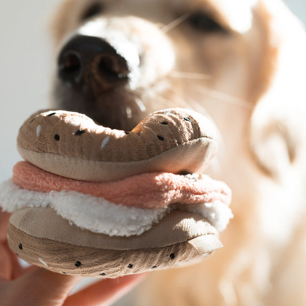 BAGEL + PICKLE // Snuffle