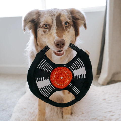 LAMBWOLF BARK TO THE BEAT