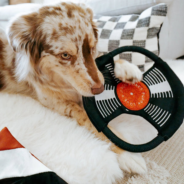 LAMBWOLF BARK TO THE BEAT