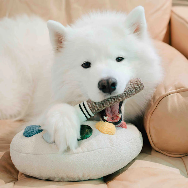 LAMBWOLF COLOUR PALETTE SET // cushion + toss