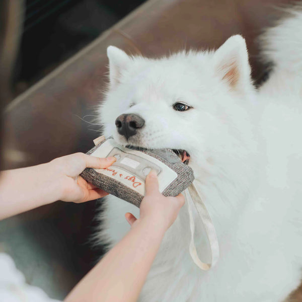 LAMBWOLF CASSETTE // snuffle + squeaky