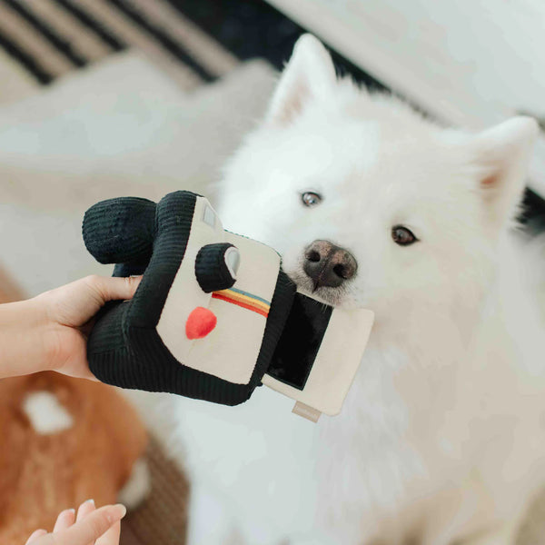 LAMBWOLF INSTANT CAMERA // snuffle + squeaky