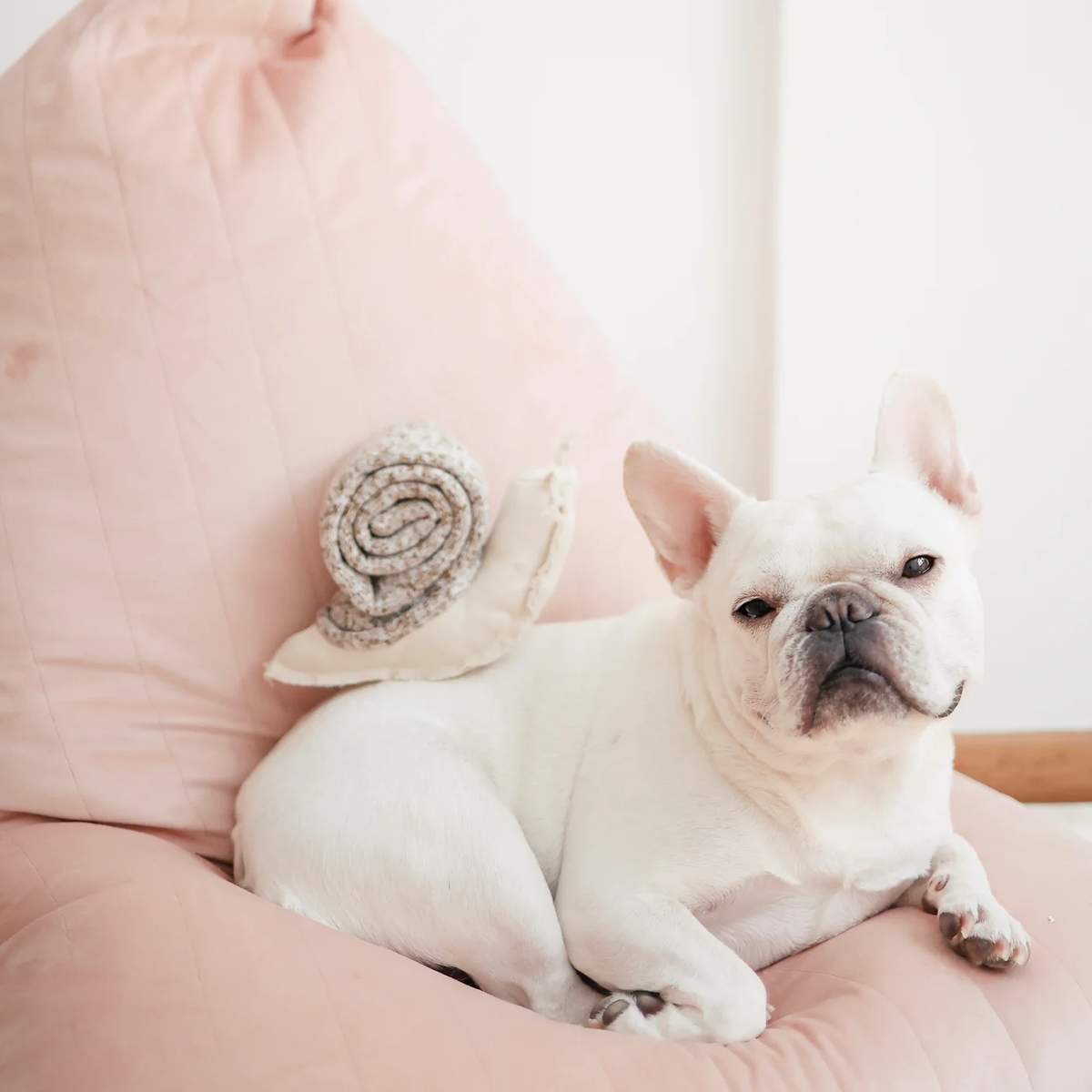 SNAIL // SNUFFLE + ROLL – beige + bright