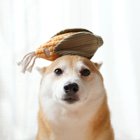 CORN // Snuffle + Soft