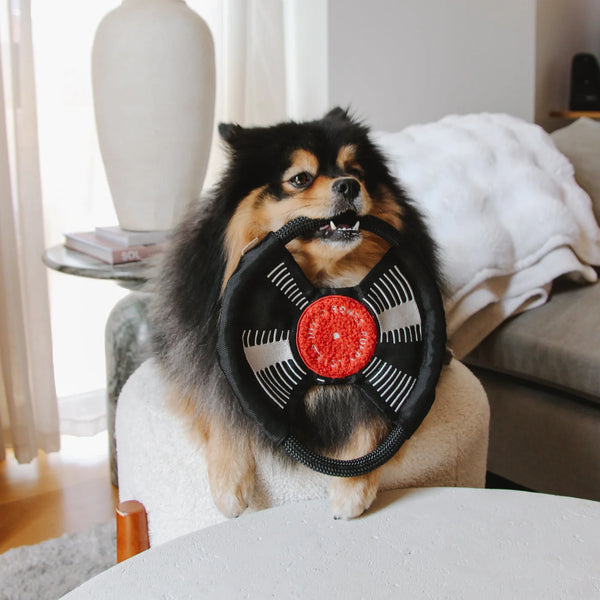 LAMBWOLF BARK TO THE BEAT