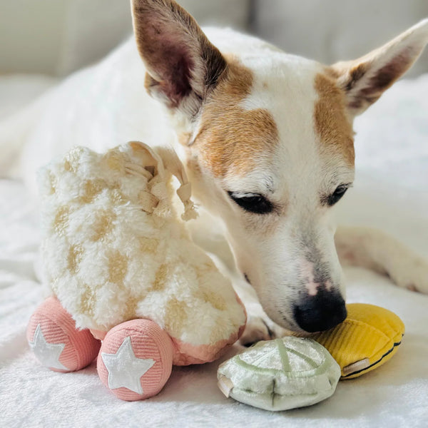 LAMBWOLF ROLLER SKATE | snuffle + squeaky