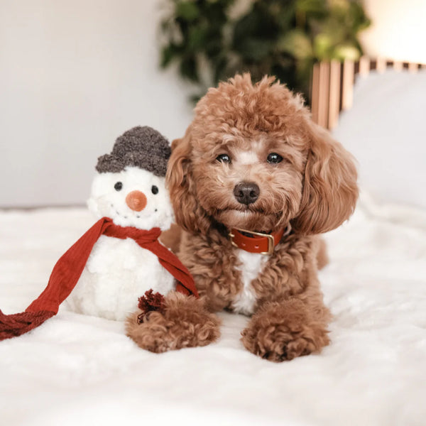 Lambwolf SNOWMAN // squeaky