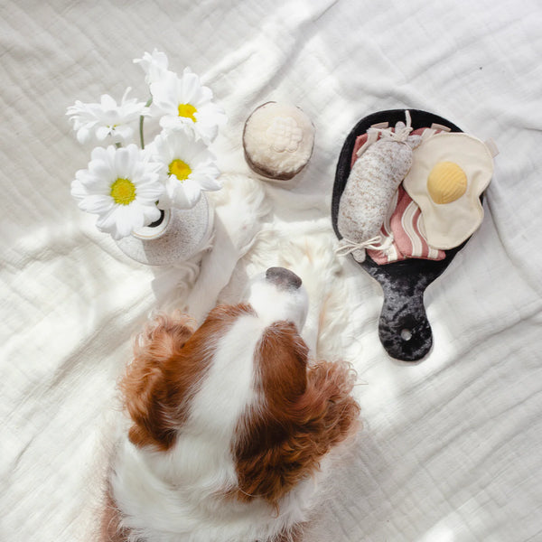 LAMBWOLF BFAST SET// snuffle + burrow toy