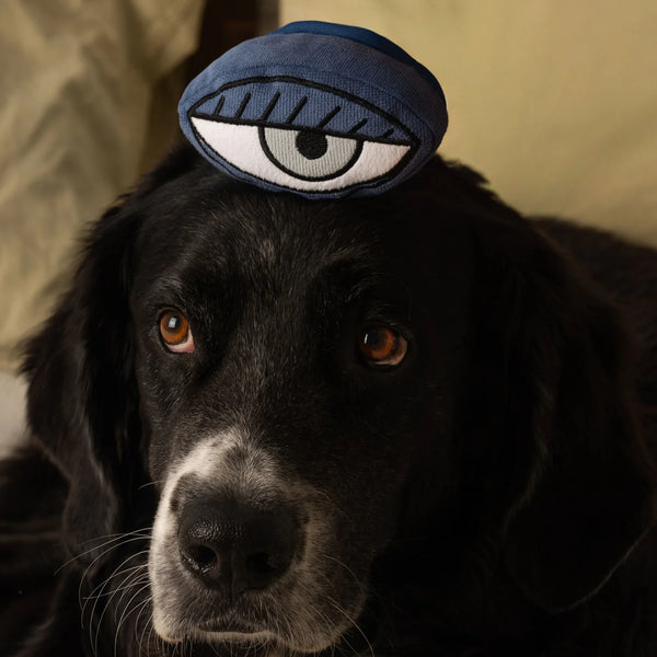 LAMBWOLF PICASSO // snuffle + squeaky
