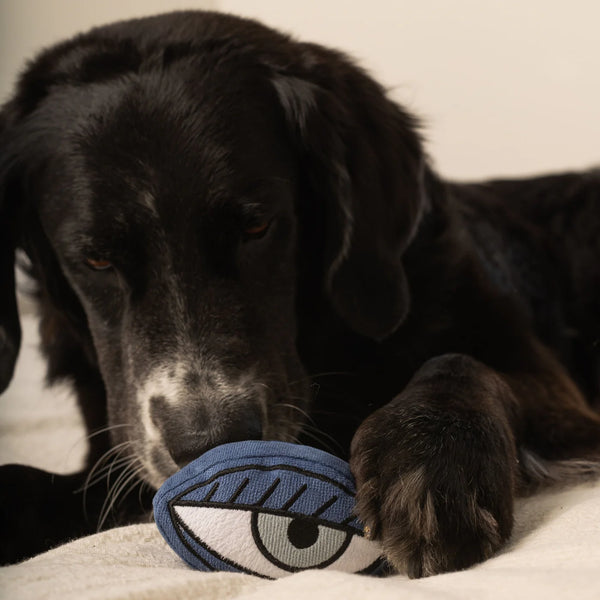 LAMBWOLF PICASSO // snuffle + squeaky