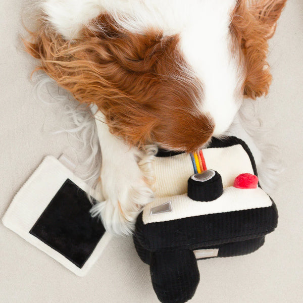 LAMBWOLF INSTANT CAMERA // snuffle + squeaky