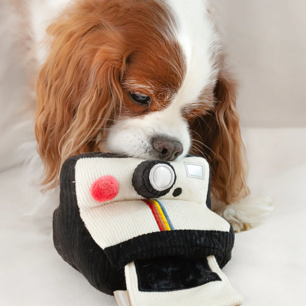 LAMBWOLF INSTANT CAMERA // snuffle + squeaky
