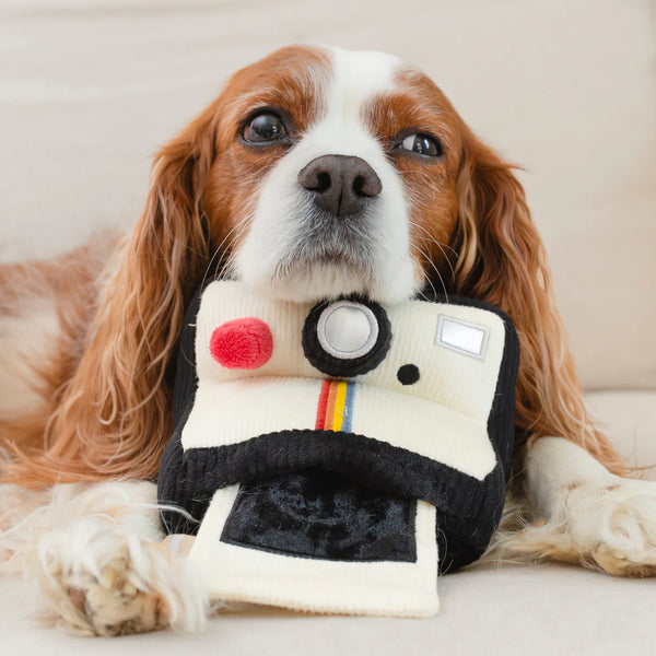 LAMBWOLF INSTANT CAMERA // snuffle + squeaky