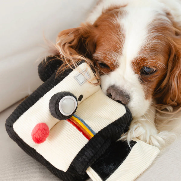LAMBWOLF INSTANT CAMERA // snuffle + squeaky