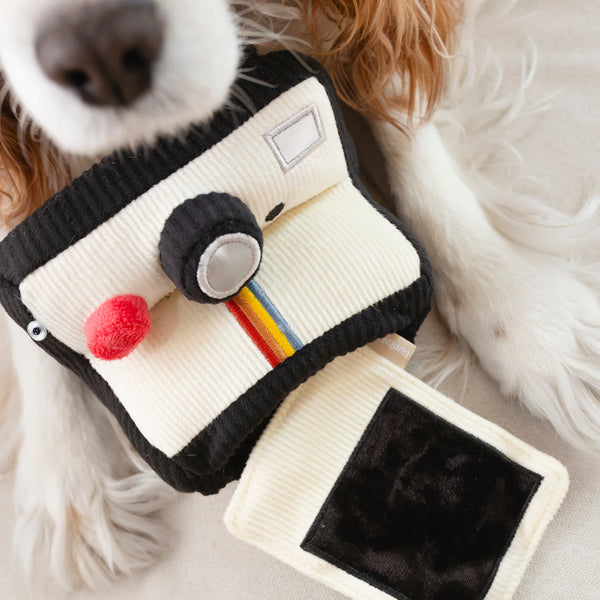 LAMBWOLF INSTANT CAMERA // snuffle + squeaky