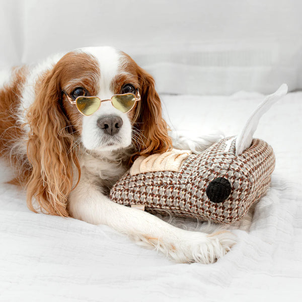 LAMBWOLF TYPEWRITER | snuffle + squeaky