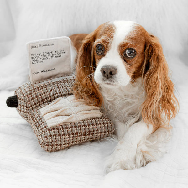 LAMBWOLF TYPEWRITER | snuffle + squeaky