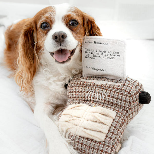 LAMBWOLF TYPEWRITER | snuffle + squeaky