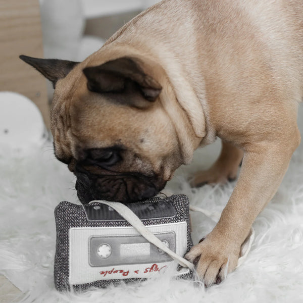 LAMBWOLF CASSETTE // snuffle + squeaky