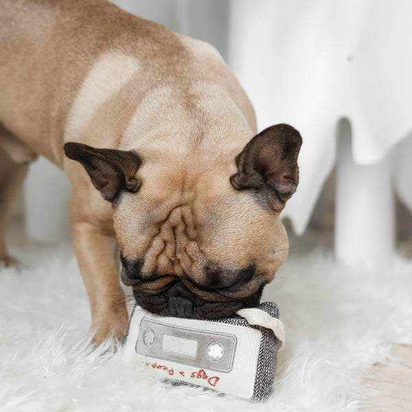 LAMBWOLF CASSETTE // snuffle + squeaky