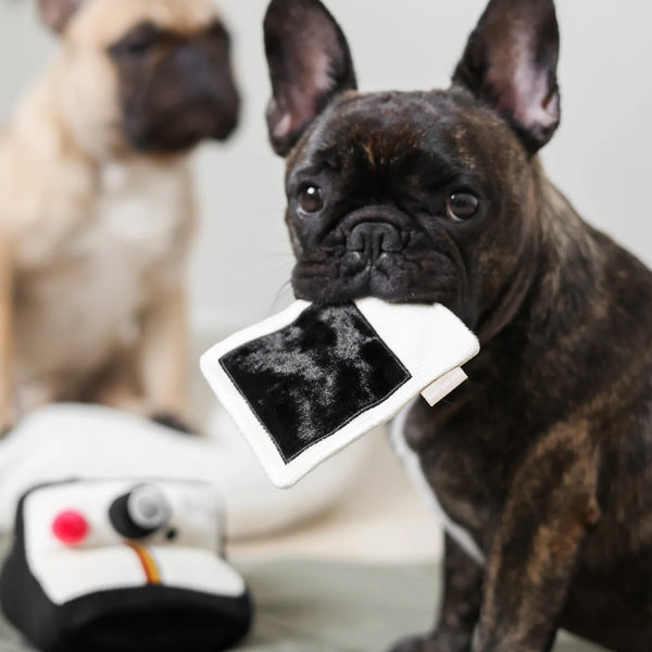 LAMBWOLF INSTANT CAMERA // snuffle + squeaky
