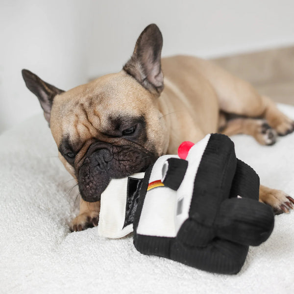 LAMBWOLF INSTANT CAMERA // snuffle + squeaky