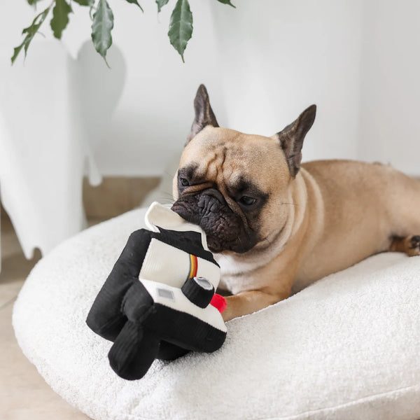 LAMBWOLF INSTANT CAMERA // snuffle + squeaky