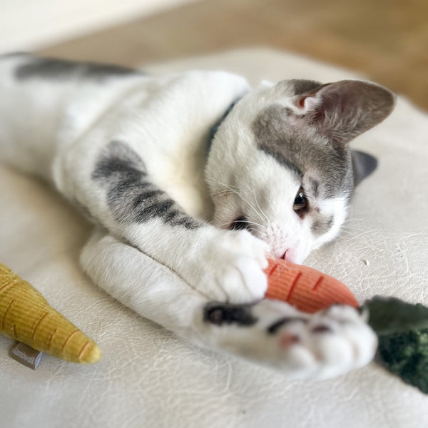 Lambwolf BABY CARROT for cat // cat nips
