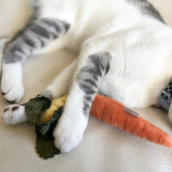 Lambwolf BABY CARROT for cat // cat nips