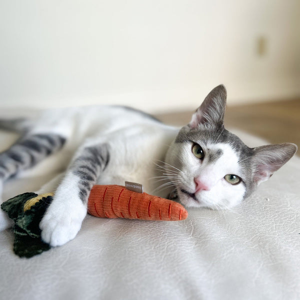 Lambwolf BABY CARROT for cat // cat nips