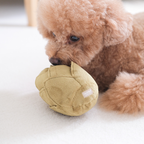 ARTICHOKE // Snuffle + Soft